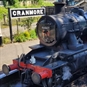 Sparkling Afternoon Tea Somerset - Steam Train
